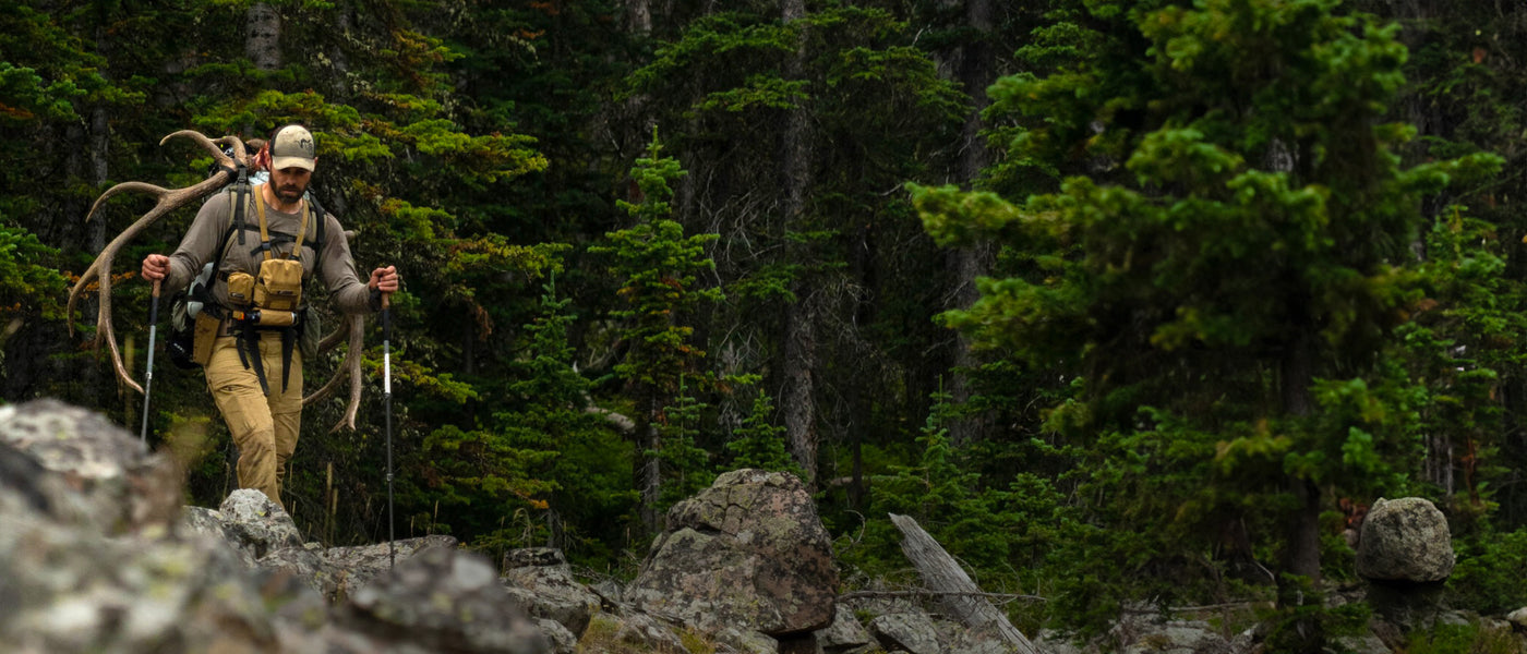 Elk Hunter in the woods - Essential Provisions