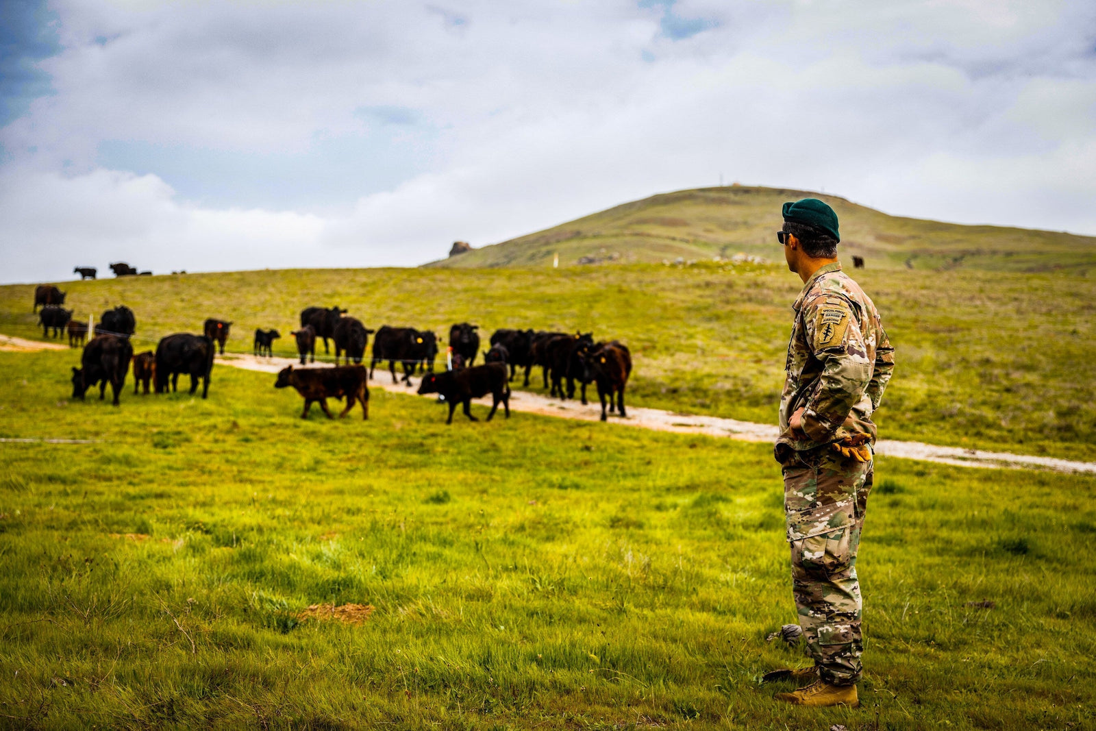 Hinterland Institute Announces Partnership with Essential Provisions to Launch "Base to Bellies" Initiative