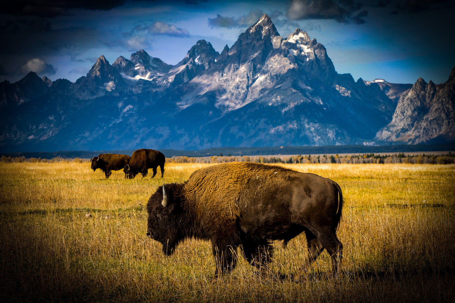 Magnified area of 'Meal (Ready-to-Eat) - BISON STEW' image'